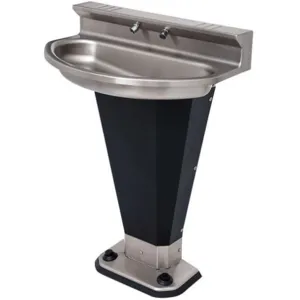 ACORN 3402-2-F-VPB-MXTP Wash Fountain Eliptical 2 Person Foot Operated | AA2AKQ 10A312