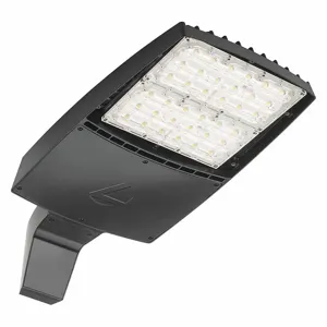 ACUITY LITHONIA RSX2 LED P6 40K R3 MVOLT RPA FAO DDBXD Parking Lot Light Fixture, 30,267 lm, 244 W Fixture Watt, Type III Wide, 400 to 1000W MH | CN2RQH DSX2 LED 80C 1000 50K T5MMVOLTRPADDBXD / 22EL95