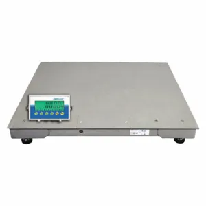 ADAM EQUIPMENT PT 310-5S [AE403] Platform Floor Scale, 5000 lb Wt Capacity, 39 3/8 Inch Widtheighing Surface Dp, Digital | CN8BRA 54YN59