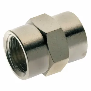 AIGNEP 3000-1/8 Female Coupler, 1/8 Inch BSPP | CL7RPV