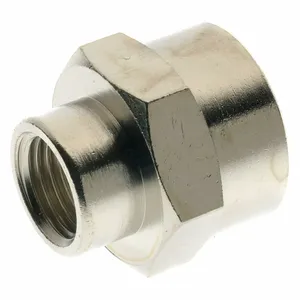 AIGNEP 3010-1/4-1/2 Reducer Female Coupler, 1/4 x 1/2 BSPP | CL7RQB