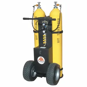 AIR SYSTEMS INTERNATIONAL MP-2300ECY Air Cylinder Cart, 2 Cylinder, Low Pressure Alarm Whistle | AF8PRR 29EZ52