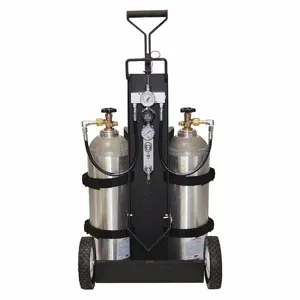 AIR SYSTEMS INTERNATIONAL MP-2HCYL Air Cylinder Cart, 2 Cylinder, Steel | AF8PRP 29EZ49