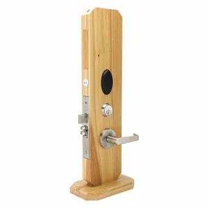 ALARM LOCK N95S1RW92LFD32D Electronic Lock, Wireless Access Control, Proximity, Mortise Mounting, Brass/Steel/Zinc | CN8EGR 49UW47