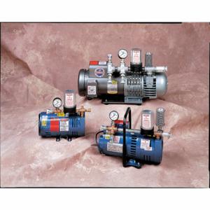 ALLEGRO SAFETY 9821 W/SCHRADER Ambient Air Pump, 0 to 10 cfm, 0 to 15 PSI, 3/4 hp Horsepower, Schrader, 9821 | CN8FCG 8A392