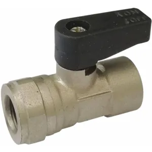 ALPHA FITTINGS 86300-02-02 Nickel Plated Brass Mini Ball Valve Fnpt 1/8 In | AB3XCX 1VRG2