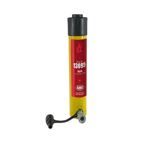 AME INTERNATIONAL 13095 Cylinder, 25 Ton Capacity, 10 Inch Stroke | CE8WLV