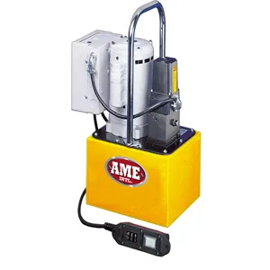 AME INTERNATIONAL 15705 Electric Pump, 2.5 Gallon Capacity, 1/2 Hp Motor | CE8WKM