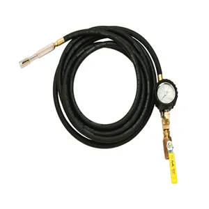 AME INTERNATIONAL 24861 Whip Hose, 20 Feet Length, 1/2 Inch Ball Valve With Dial Gauge | CE8XDH