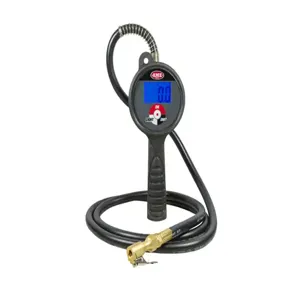 AME INTERNATIONAL 24867 Digital Tire Inflator | CE8VUX