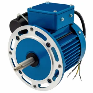 AMERICAN STAINLESS PUMPS M1.0T11G-JL1 Pump Motor | CN8HEU 60PY18