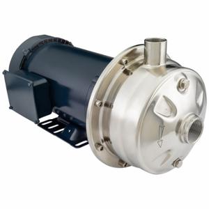 AMERICAN STAINLESS PUMPS T1525243T3F Centrifugal Pump, 3 hp, 208-230/460VAC, 208 ft | CN8HEA 60PY40