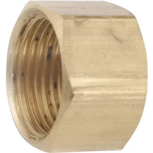 ANDERSON METALS CORP. PRODUCTS 700081-10 Cap Low Lead Brass 150 Psi | AF7EWL 20XM95