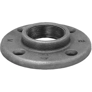 ANVIL 0301194601 G1190 1/4 Pltd Di Floor Flange | BT8LMP