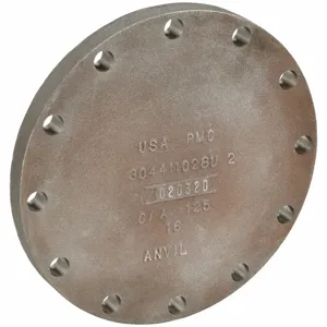 ANVIL 0308017607 Blind Flange, Faced And Drilled, 10 Inch Size | AD8LRH 4KWP8