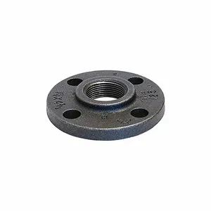 ANVIL 0309003002 21/2 X 7 Galvanized Cast Iron Faced And Drilled Threaded Flange | BT8MXZ