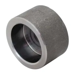 ANVIL 0362648008 1/2 Forged Steel Socket With Cap | BT9CKN