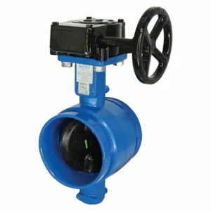 ANVIL 7005011910 Butterfly Valve, Grooved Style, Ductile Iron, 2 Inch Pipe Size | CN8LHQ 805TM9