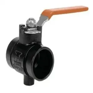 GRUVLOK FIG 7600 Butterfly Valve | CF4GHX