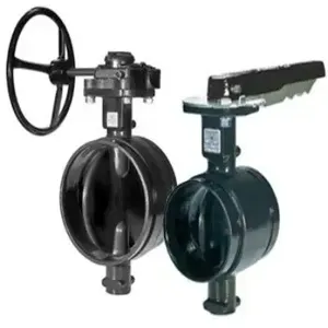 GRUVLOK FIG 7700 Butterfly Valve | CF4GJD