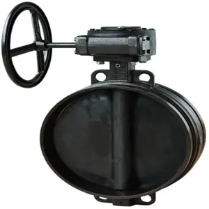 GRUVLOK FIG B333 Large Diameter Butterfly Valve with Gear Operator | CF4GZQ