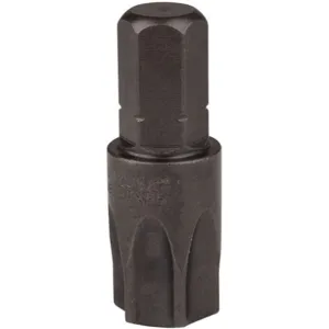 APEX-TOOLS 480-TX-55X-5PK Torx Insert Bit T55 1.25 Inch - Pack Of 5 | AE6EJJ 5RDP4