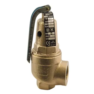 APOLLO VALVES 1061725Q Relief Valve, 1.5 x 2 Inch Size, 125 Psi, Bronze | BP4HCG