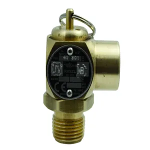 APOLLO VALVES 10512B50 Relief Valve, 1/2 Inch Size, 50 Psi, Brass | BP3ZKR RVS5250