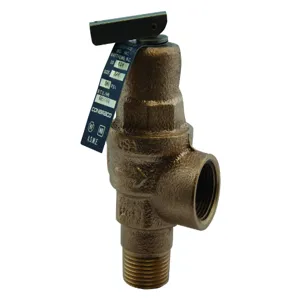 APOLLO VALVES 10624150 Relief Valve, 3/4 Inch Npt, 150 Psi | BP3RWK