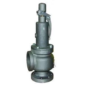 APOLLO VALVES 119JGCAMAA0051 Relief Valve | BP4CKH