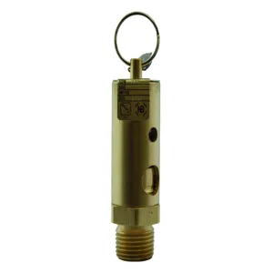 APOLLO VALVES 15117B50Q Air Relief Valve, 1/2 Inch Size, 50 Psi Pressure, Brass | BP2VRX