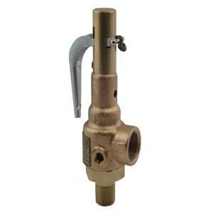 APOLLO VALVES 19KHGK20 Relief Valve, PFA, 20 Psi | BP2JHL