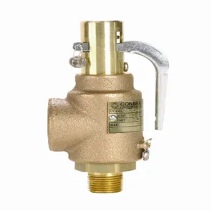 APOLLO VALVES 29202A150S Relief Valve, 1/2 Inch x 1 Inch Size, Dual Orifice | BP3JFZ