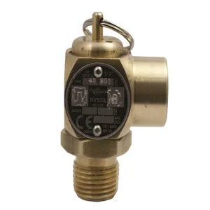 APOLLO VALVES 10512B17 Relief Valve, 1/2 Inch Size, 17 Psi, Brass | BP2WBY RVS5217