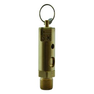 APOLLO VALVES 15119B175 Air Relief Valve, 1 Inch Size, 175 Psi Pressure, Brass | BP2WRR RVA151175