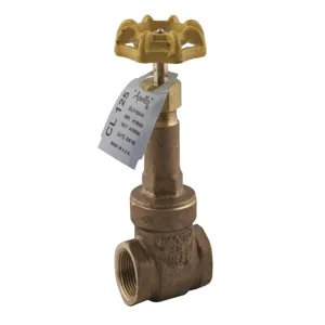 APOLLO VALVES 30LF00001 Gate Valve, 3 Inch NPT | CC6FCZ 101T3LF