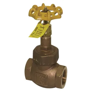 APOLLO VALVES 3366801 Globe Valve, Size 2 Inch NPT | BY4YJL 127T21