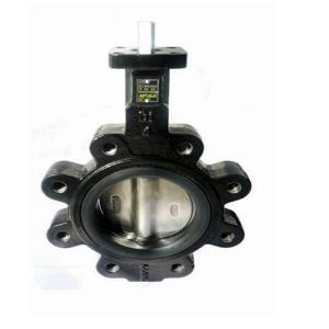 APOLLO VALVES LD14114DE10A Butterfly Valve, With Lug, Size 14 Inch, Ductile Iron | CA9CND