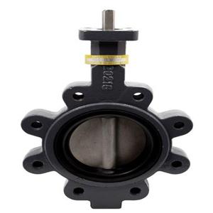 APOLLO VALVES LD14525DN10 Butterfly Valve, Lug, 2-1/2 Inch Size, Ductile Iron/Buna | CC2FDX