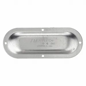 APPLETON ELECTRIC 880IG Cover for Conduit Access Fitting, 2 1/2 and 3 Inch Trade, Steel, Screw In | AA2QBE 10Y647