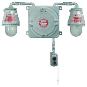 APPLETON ELECTRIC ELS22812G2250 Explosionproof Emergency Lighting Unit With Fixture, 28W, 12V-220V | BJ9LDE