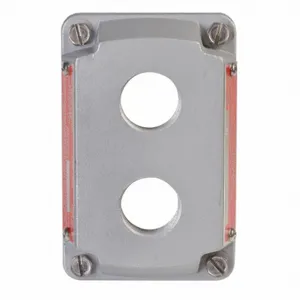 APPLETON ELECTRIC ESKB-2PBQ Hazardous Location Cover, Gray, Two, 3/4 Inch Tapped Openings | AA4CTT 12F554