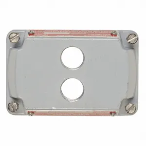 APPLETON ELECTRIC ESKB-2SPQ Hazardous Location Cover, Gray, Two, 1/2 Inch Tapped Openings | AA4CTU 12F555