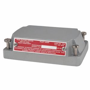 APPLETON ELECTRIC ESKB-BQ Hazardous Location Cover, Gray, No Tapped Openings | AA4CTW 12F557