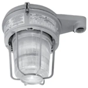 APPLETON ELECTRIC MLRL104J5GMTUP Light Fixture, 100W | BK2QXR