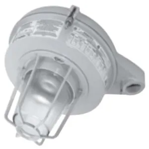 APPLETON ELECTRIC MLSL155G1NMTZ2 Light Fixture, 150W | BK2RUY