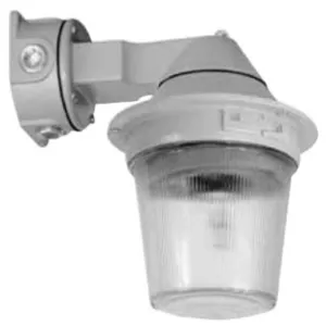 APPLETON ELECTRIC VPWBS751248DCBL Strobe Light Fixture, 12 - 48Vdc | BK3BAQ