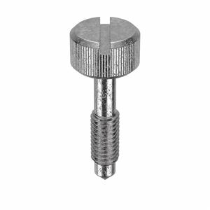 APPROVED VENDOR 165SS Panel Screw Knurled 10-32 X 7/8 L, 5PK | AB3BPD 1RE23