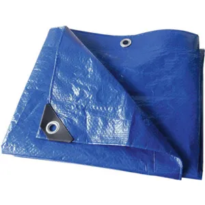 APPROVED VENDOR 22JC32 Tarp Polyethylene Blue 30x50 Feet | AB6VCZ