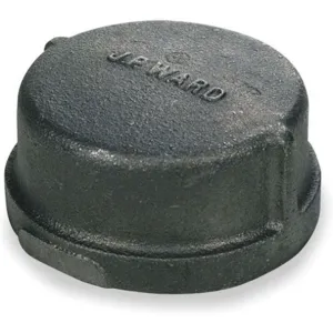 APPROVED VENDOR 2WU79 Cap 2-1/2 Inch Fnpt | AC3VUL